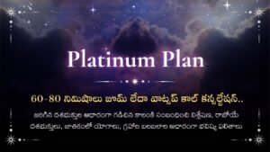 జాతక విశ్లేషణ ( Platinum Plan )