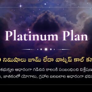 జాతక విశ్లేషణ ( Platinum Plan )