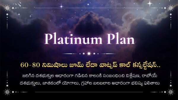 జాతక విశ్లేషణ ( Platinum Plan )